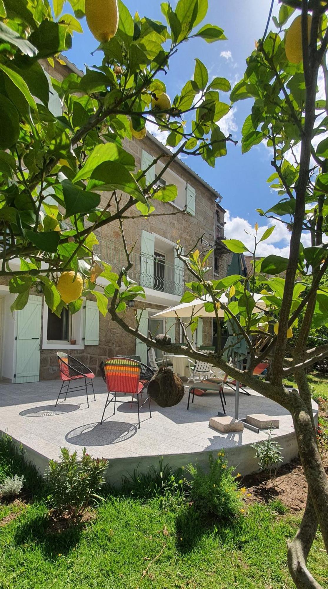 Charmant Appartement En Rez De Jardin Sartène Eksteriør billede